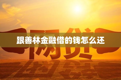 跟善林金融借的钱怎么还