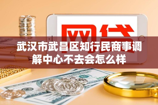 武汉市武昌区知行民商事调解中心不去会怎么样 武汉市武昌区知行民商事调解中心不去会怎么样