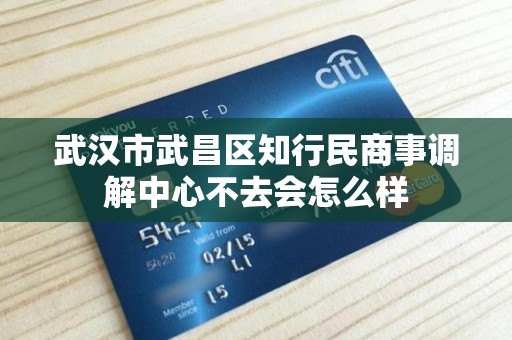 武汉市武昌区知行民商事调解中心不去会怎么样 武汉市武昌区知行民商事调解中心不去会怎么样