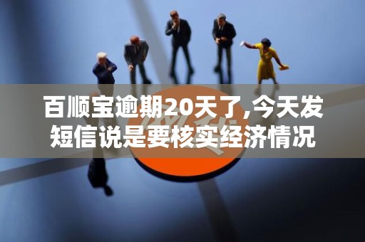 百顺宝逾期20天了,今天发短信说是要核实经济情况