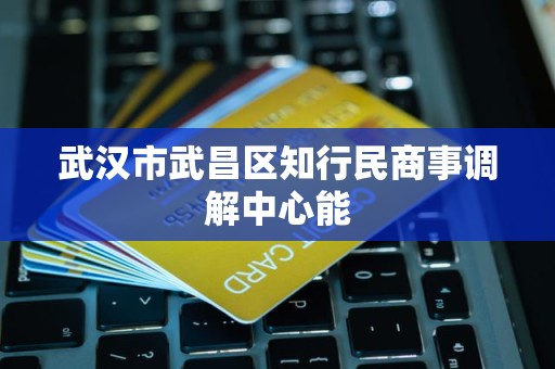 武汉市武昌区知行民商事调解中心能