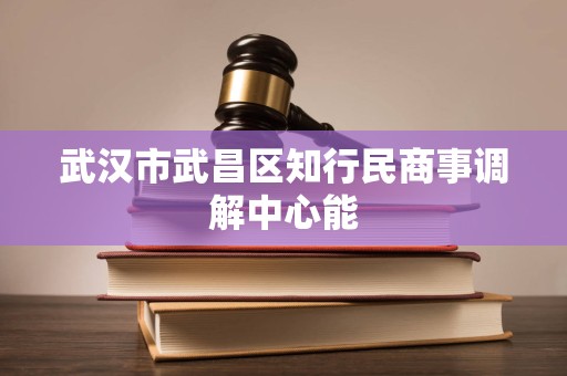 武汉市武昌区知行民商事调解中心能