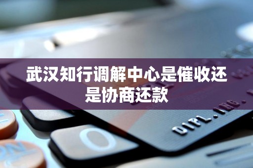 武汉知行调解中心是催收还是协商还款 武汉知行调解中心是催收还是协商还款