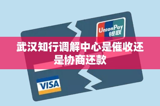 武汉知行调解中心是催收还是协商还款 武汉知行调解中心是催收还是协商还款