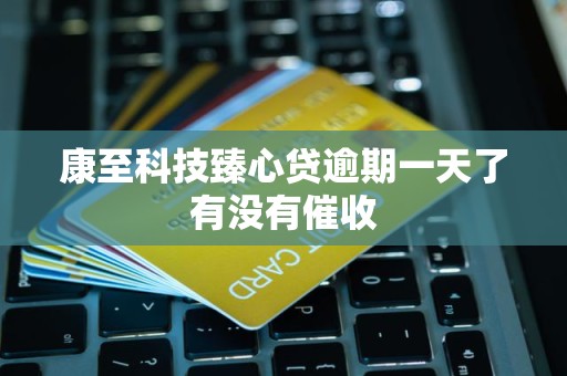 康至科技臻心贷逾期一天了有没有催收