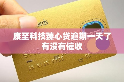 康至科技臻心贷逾期一天了有没有催收