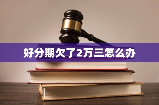 好分期欠了2万三怎么办