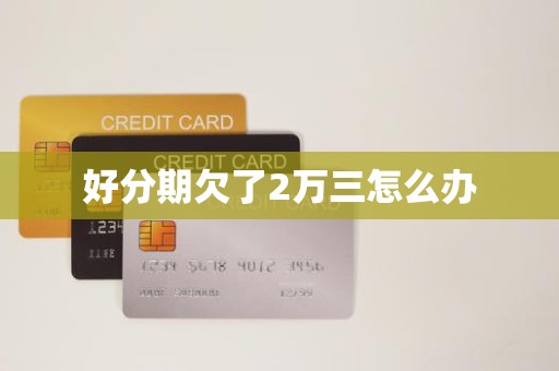 好分期欠了2万三怎么办