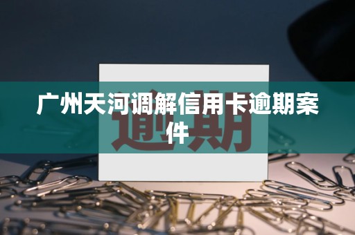 广州天河调解信用卡逾期案件