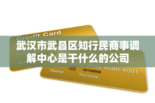 武汉市武昌区知行民商事调解中心是干什么的公司 武汉市武昌区知行民商事调解中心是干什么的公司