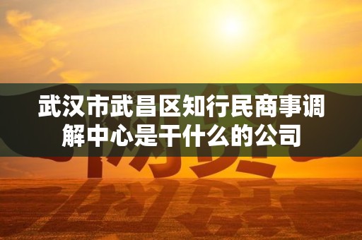武汉市武昌区知行民商事调解中心是干什么的公司 武汉市武昌区知行民商事调解中心是干什么的公司