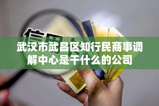 武汉市武昌区知行民商事调解中心是干什么的公司 武汉市武昌区知行民商事调解中心是干什么的公司