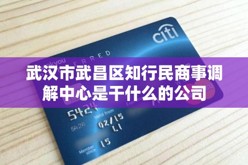 武汉市武昌区知行民商事调解中心是干什么的公司 武汉市武昌区知行民商事调解中心是干什么的公司