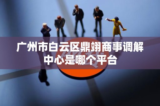 广州市白云区鼎翊商事调解中心是哪个平台