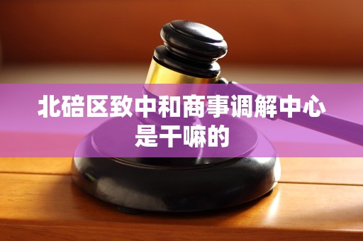 北碚区致中和商事调解中心是干嘛的 北碚区致中和商事调解中心是干嘛的