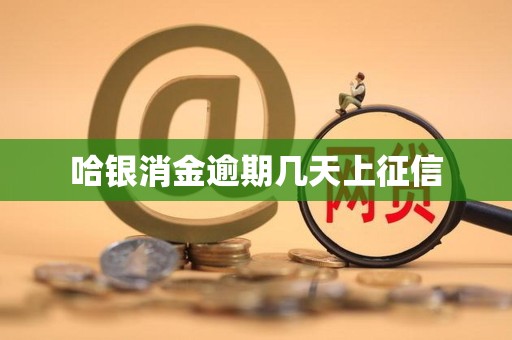 哈银消金逾期几天上征信 哈银消金逾期几天上征信