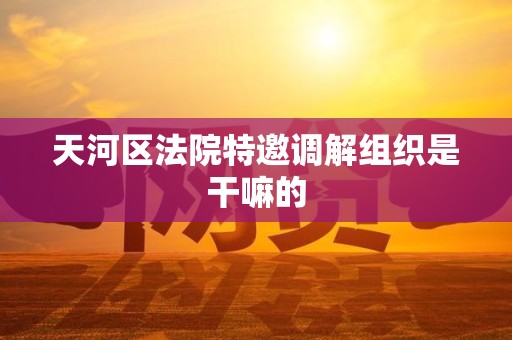 天河区法院特邀调解组织是干嘛的 天河区法院特邀调解组织是干嘛的