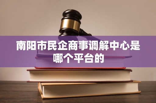 南阳市民企商事调解中心是哪个平台的