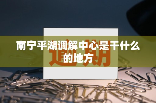 南宁平湖调解中心是干什么的地方