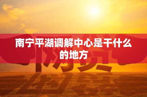 南宁平湖调解中心是干什么的地方
