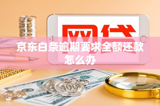 京东白条逾期要求全额还款怎么办