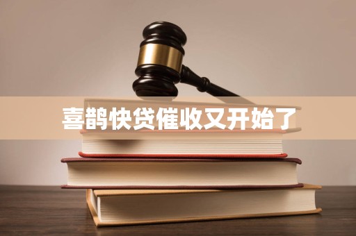 喜鹊快贷催收又开始了