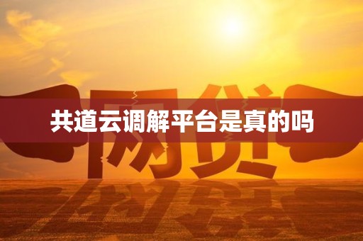 共道云调解平台是真的吗 共道云调解平台是真的吗