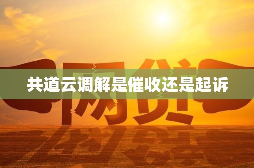 共道云调解是催收还是起诉