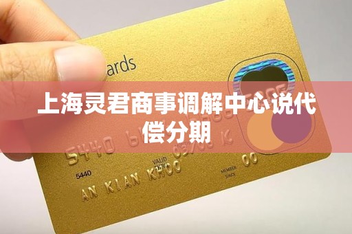上海灵君商事调解中心说代偿分期