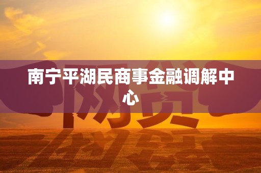 南宁平湖民商事金融调解中心