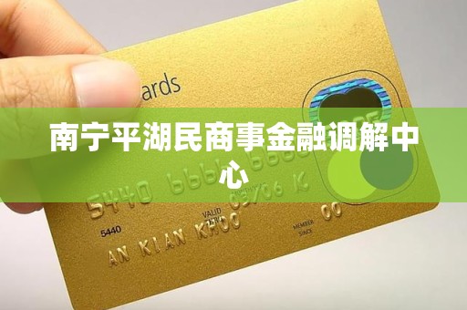 南宁平湖民商事金融调解中心