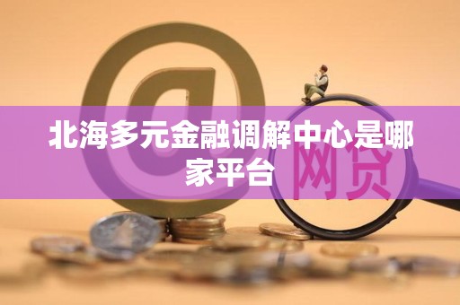 北海多元金融调解中心是哪家平台