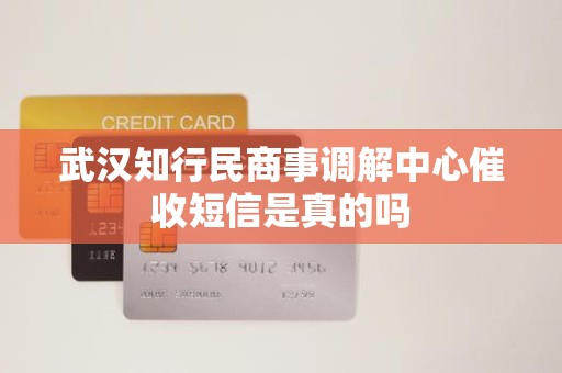 武汉知行民商事调解中心催收短信是真的吗 武汉知行民商事调解中心催收短信是真的吗