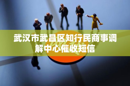 武汉市武昌区知行民商事调解中心催收短信
