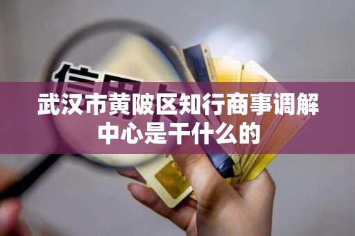 武汉市黄陂区知行商事调解中心是干什么的 武汉市黄陂区知行商事调解中心是干什么的