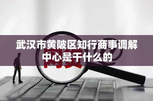 武汉市黄陂区知行商事调解中心是干什么的 武汉市黄陂区知行商事调解中心是干什么的
