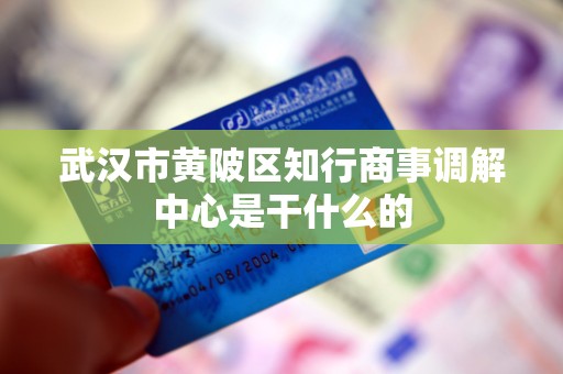 武汉市黄陂区知行商事调解中心是干什么的 武汉市黄陂区知行商事调解中心是干什么的