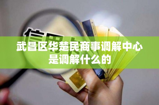 武昌区华楚民商事调解中心是调解什么的