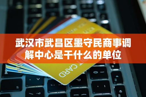 武汉市武昌区墨守民商事调解中心是干什么的单位