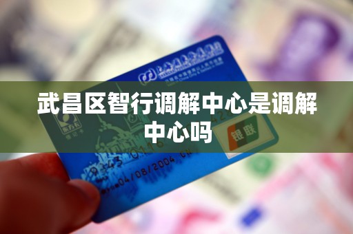 武昌区智行调解中心是调解中心吗