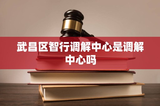 武昌区智行调解中心是调解中心吗