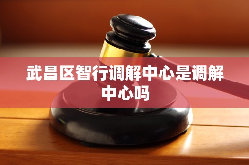 武昌区智行调解中心是调解中心吗