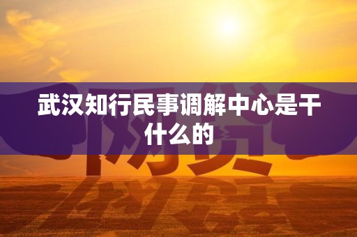 武汉知行民事调解中心是干什么的