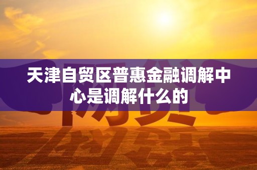 天津自贸区普惠金融调解中心是调解什么的