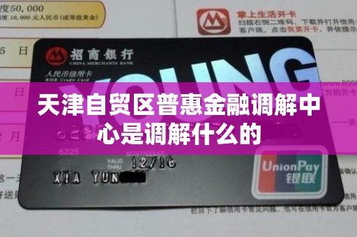 天津自贸区普惠金融调解中心是调解什么的