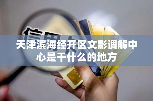 天津滨海经开区文影调解中心是干什么的地方