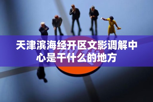 天津滨海经开区文影调解中心是干什么的地方