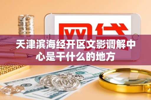 天津滨海经开区文影调解中心是干什么的地方