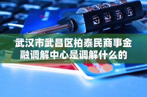 武汉市武昌区柏泰民商事金融调解中心是调解什么的