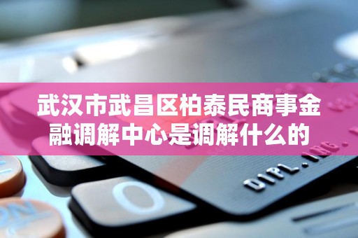 武汉市武昌区柏泰民商事金融调解中心是调解什么的
